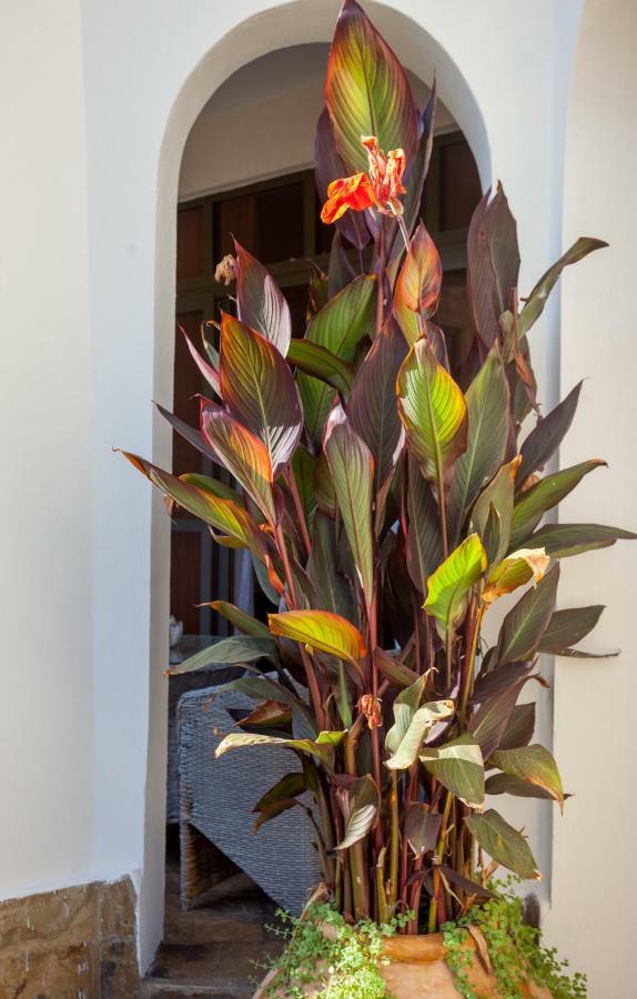 Amani Luxury Apartments Mombasa Esterno foto